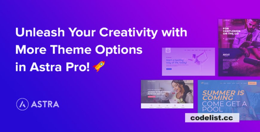 Astra Pro Addon v4.8.13 – Perfect Theme For Any Website