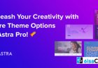 Astra Pro Addon v4.11.11 – Perfect Theme For Any Website